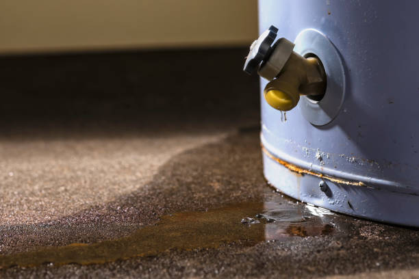 Best Commercial water damage restoration  in Taos Pueblo, NM