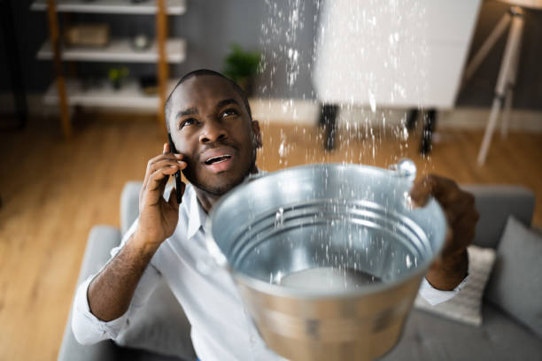 Best Residential water damage restoration  in Taos Pueblo, NM