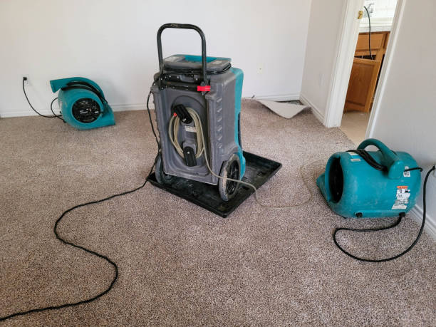 Best Emergency water damage restoration  in Taos Pueblo, NM