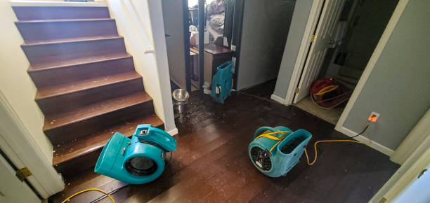 Best 24-hour water damage restoration  in Taos Pueblo, NM