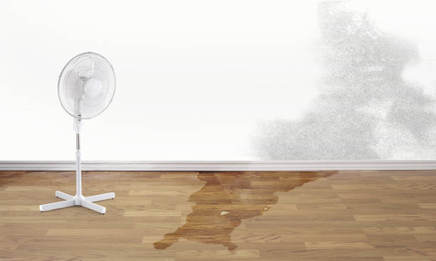 Best Water damage restoration near me  in Taos Pueblo, NM