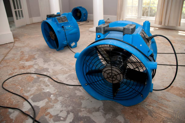 Best Basement water damage restoration  in Taos Pueblo, NM