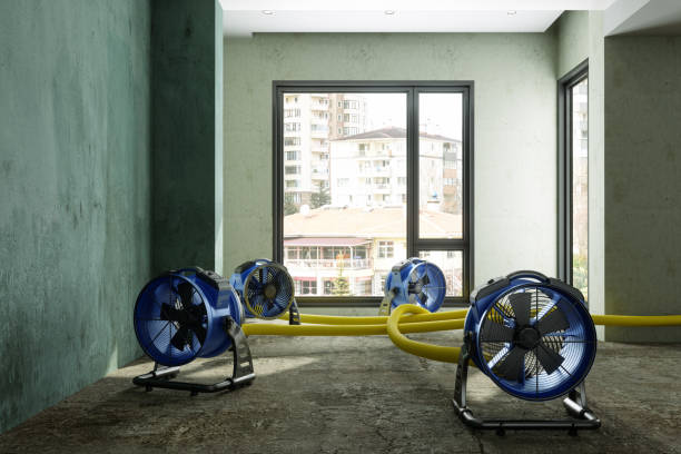 Best Water damage restoration specialists  in Taos Pueblo, NM