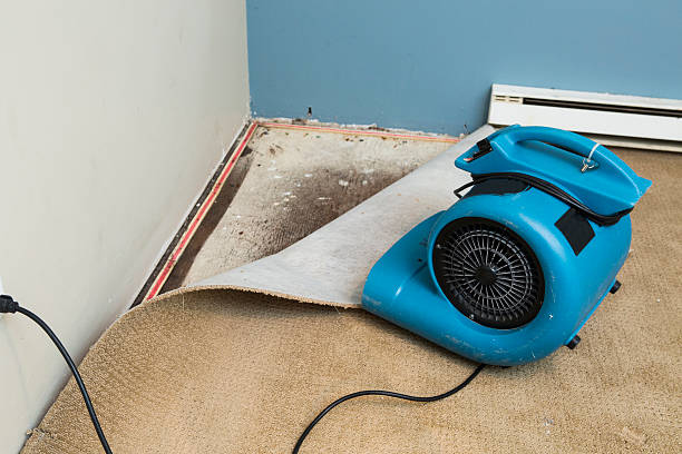 Best Water damage restoration specialists  in Taos Pueblo, NM